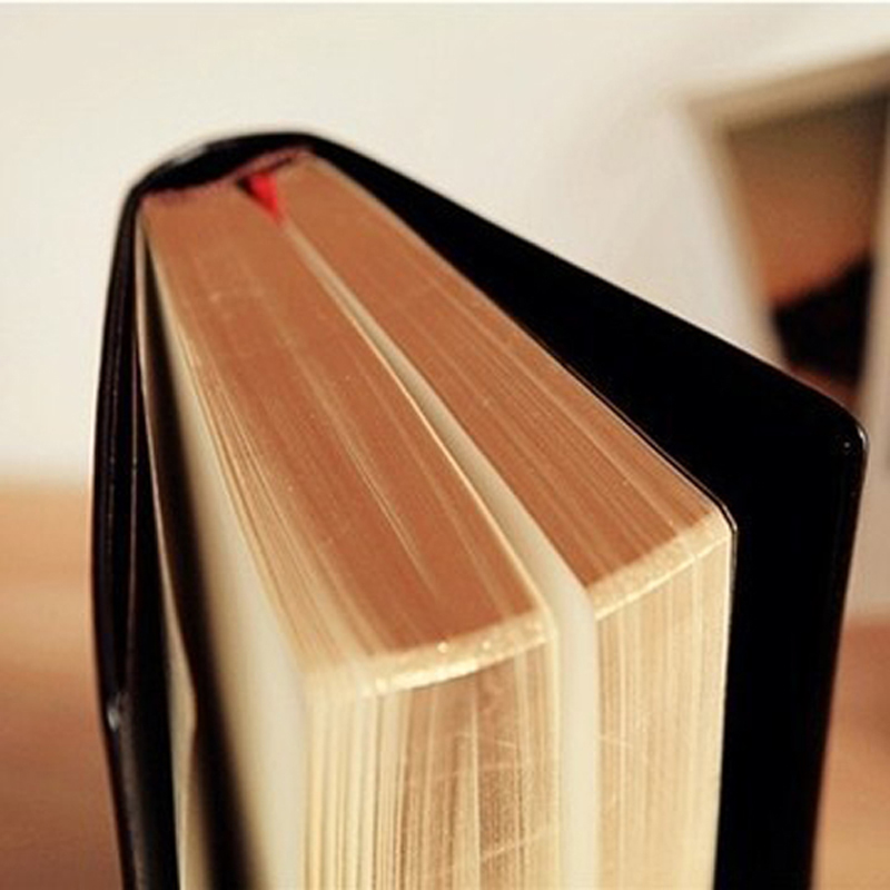 Vintage Thick Leather Bible No - Leather Work Diary reseña y precio